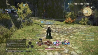 Thumbnail of post image 009