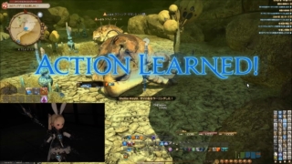 Thumbnail of post image 149