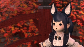 Thumbnail of post image 008